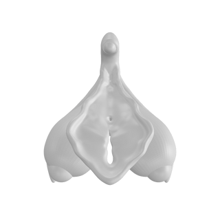 3D Printable Clitoris Model with Vulva - Good Health and Well-being